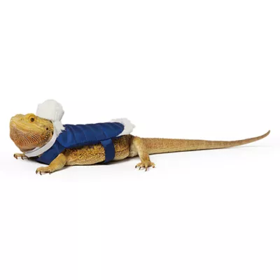 Product Merry & Bright® Holiday Reptile Costume