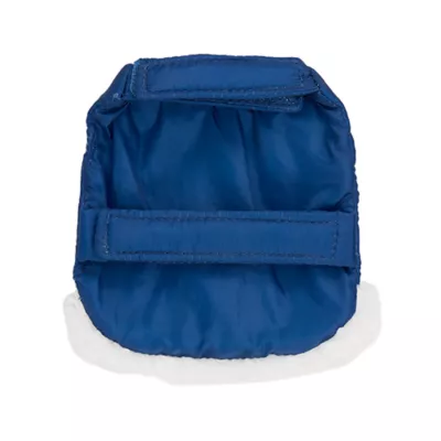 Product Merry & Bright® Holiday Reptile Costume