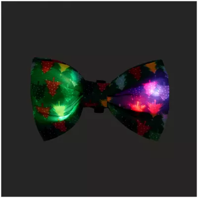 Product Merry & Bright® Light-Up Collar Slide