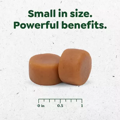 Greenies Skin and Coat Sensitive Care Supplement for Dogs, Peanut Butter Flavor, 80 Count Tub - Image 2