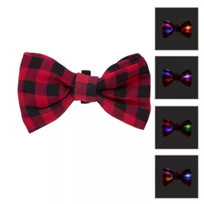 Product Merry & Bright® Light-Up Collar Slide