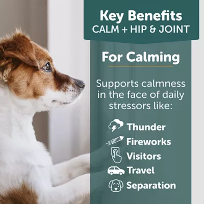 Product ThunderBites Calm + Hip & Joint Daily Soft Chews for Dogs, 90 Count