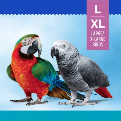 Product All Living Things® Zig Zag Chew Bird Chew Toy