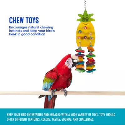 Product All Living Things® Pineapple Chew Bird Toy