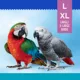 Product All Living Things® Spinning Fan Bird Bird Toy