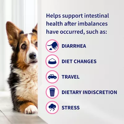 Product Nutramax Proviable Probiotics for Small Dogs and Cats, Diarrhea Support Kit, 15 ml Paste/10 Capsules