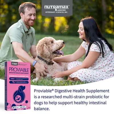 Product Nutramax Proviable Probiotics for Dogs, Diarrhea Support Kit, 30 ml Paste and 10 Capsules