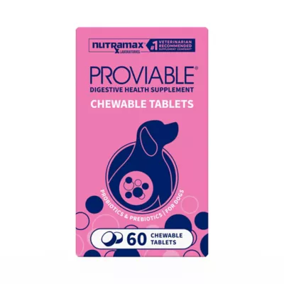 Nutramax Proviable Dog Probiotics, Daily Digestive Supplement with Prebiotics, 60 Chew Tabs - Image 1
