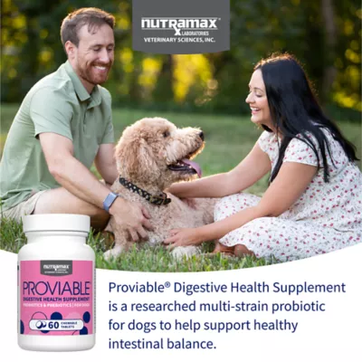 Nutramax Proviable Dog Probiotics, Daily Digestive Supplement with Prebiotics, 60 Chew Tabs - Image 2