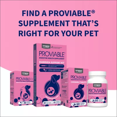 Nutramax Proviable Dog Probiotics, Daily Digestive Supplement with Prebiotics, 60 Chew Tabs - Image 9
