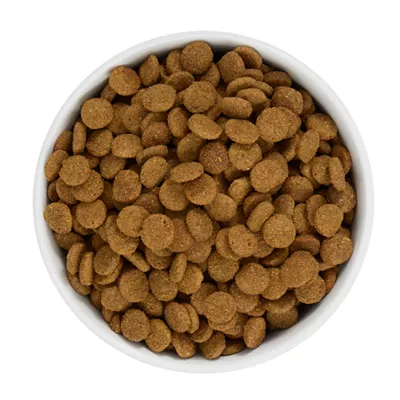 Product Merry & Bright® Holiday Bone Bowl