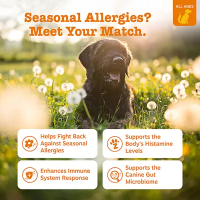 Product Zesty Paws Allergy Immune Bites Lamb, 250 Count