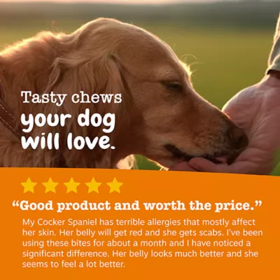 Product Zesty Paws Allergy Immune Bites Lamb, 250 Count