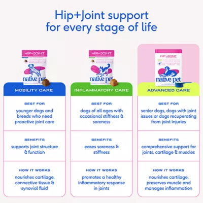 Product Native Pet Hip & Joint Advanced Care for Dogs, 6.3 OZ
