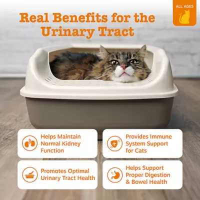 Product Zesty Paws Cat Mousse Urinary Tract, Chicken, 14 Count