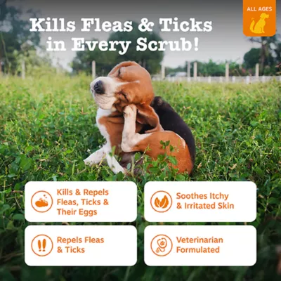 Product Zesty Paws Flea & Tick Spray, 16 fl oz Bottle
