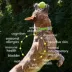Native Pet The Daily Supplement Powder for Dogs, Multivitamin, 1.7 oz, 7 oz, 14 oz, 21 oz, 28 oz image thumbnail 3