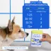 Native Pet The Daily Supplement Powder for Dogs, Multivitamin, 1.7 oz, 7 oz, 14 oz, 21 oz, 28 oz image thumbnail 6