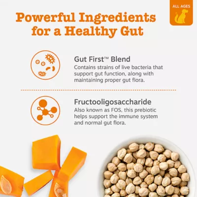 Zesty Paws Dog Probiotic Bites, Gut Flora & Digestive Supplements, Pumpkin Flavor, 90-250 Count - Image 4