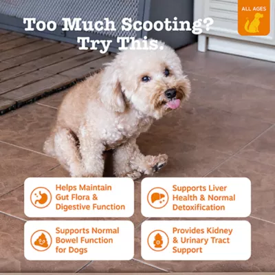 Product Zesty Paws Scoot Away Bites™, Chicken, 90 Count