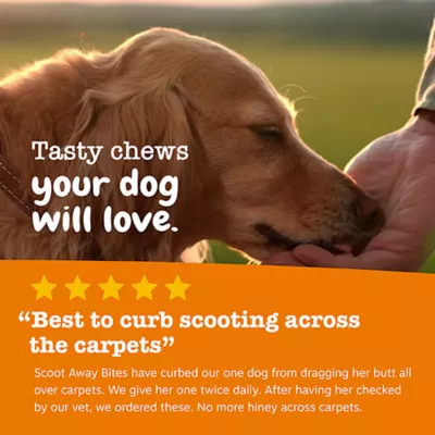 Product Zesty Paws Scoot Away Bites™, Chicken, 90 Count