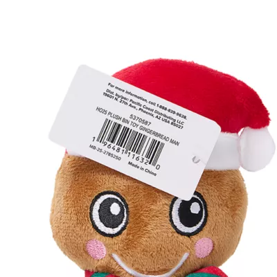 Product Merry & Bright® Plush Gingerbread Dog Toy