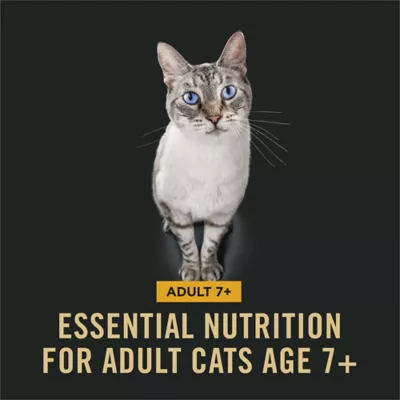 Purina Pro Plan Complete Essentials Dry Cat Food - Adult 7+, Chicken & Rice - Image 2