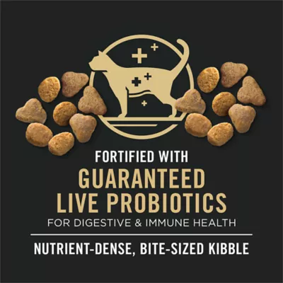 Purina Pro Plan Complete Essentials Dry Cat Food - Adult 7+, Chicken & Rice - Image 6