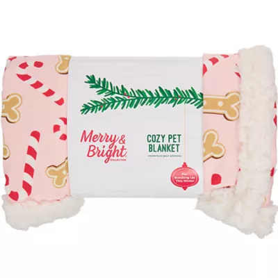 Product Merry & Bright® Pink Candy Cane Dog Blanket