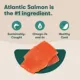 Product Jinx All Life Stages Dry Dog Food - Atlantic Salmon, Brown Rice & Sweet Potato