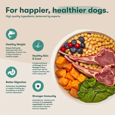 Jinx All Life Stages Grain-Free Dry Dog Food - Lamb, Sweet Potato & Carrot - Image 4