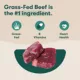 Product Jinx All Life Stages Grain-Free Dry Dog Food - Beef Brown Rice & Sweet Potato