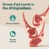 Jinx All Life Stages Grain-Free Dry Dog Food - Lamb, Sweet Potato & Carrot image thumbnail 3