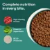 Jinx All Life Stages Dry Dog Food - Beef Brown Rice & Sweet Potato image thumbnail 4
