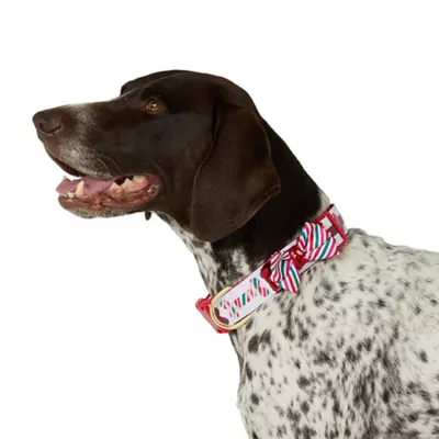 Product Merry & Bright® Bones Holiday Dog Collar