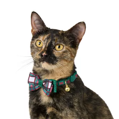 Product Merry & Bright® Plaid Cat Collar
