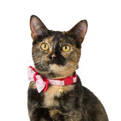 Product Merry & Bright® Peppermint Cat Collar