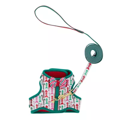 Product Merry & Bright® Bones Cat Harness and Leash Set