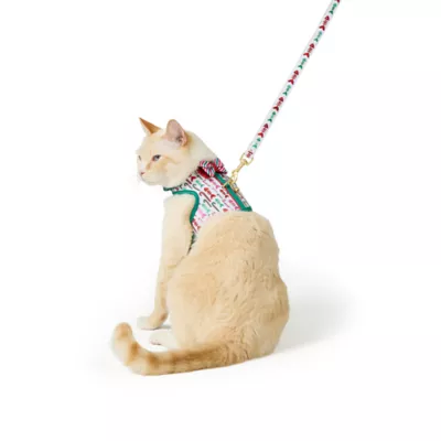 Product Merry & Bright® Bones Cat Harness and Leash Set