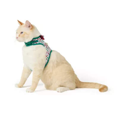 Product Merry & Bright® Bones Cat Harness and Leash Set