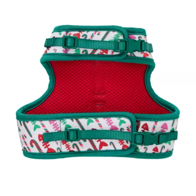 Product Merry & Bright® Bones Cat Harness and Leash Set