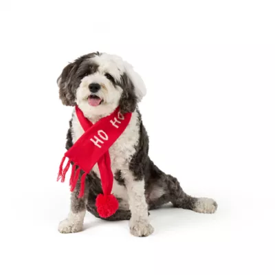 Product Merry & Bright® HO HO Scarf