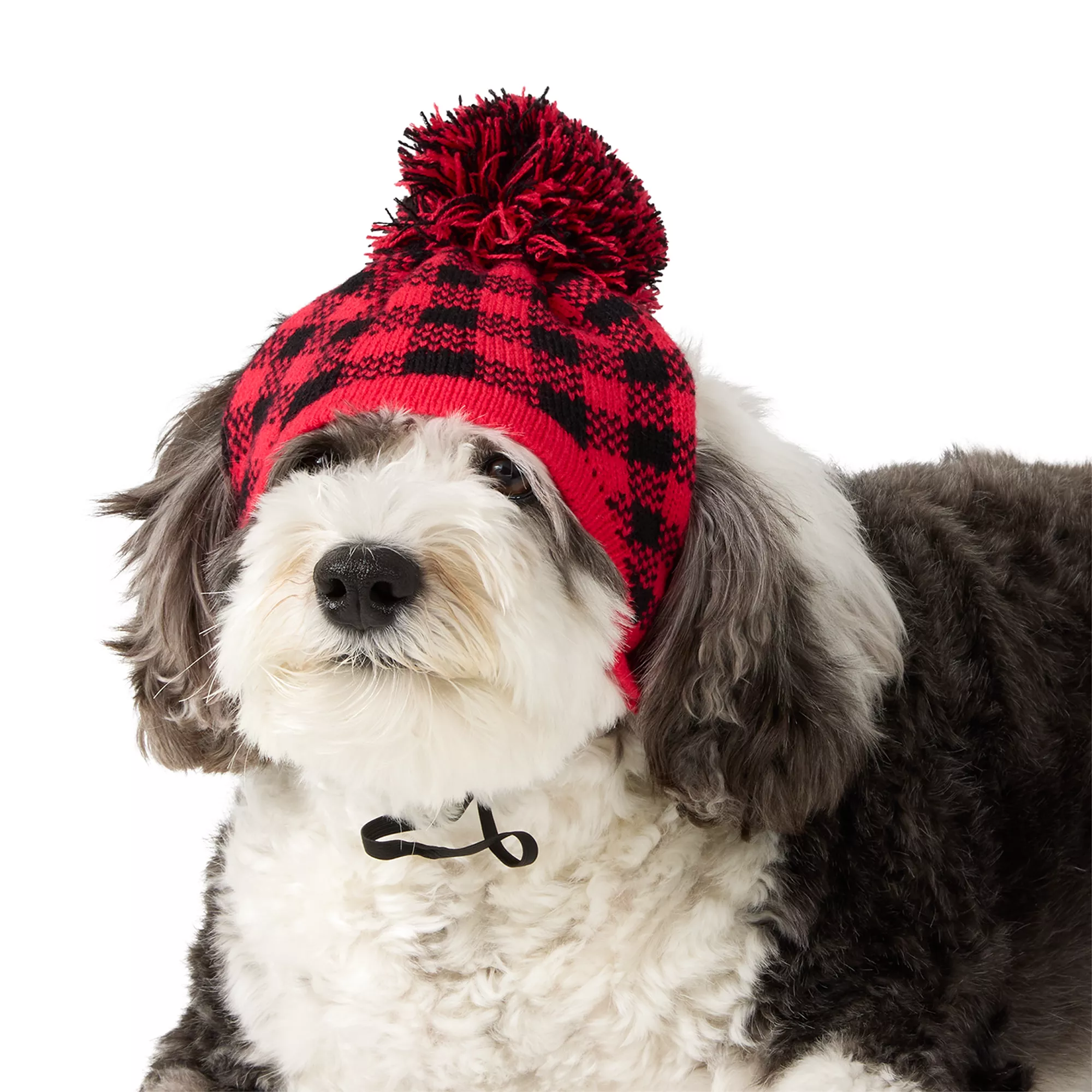 Merry & Bright® Buffalo Beanie