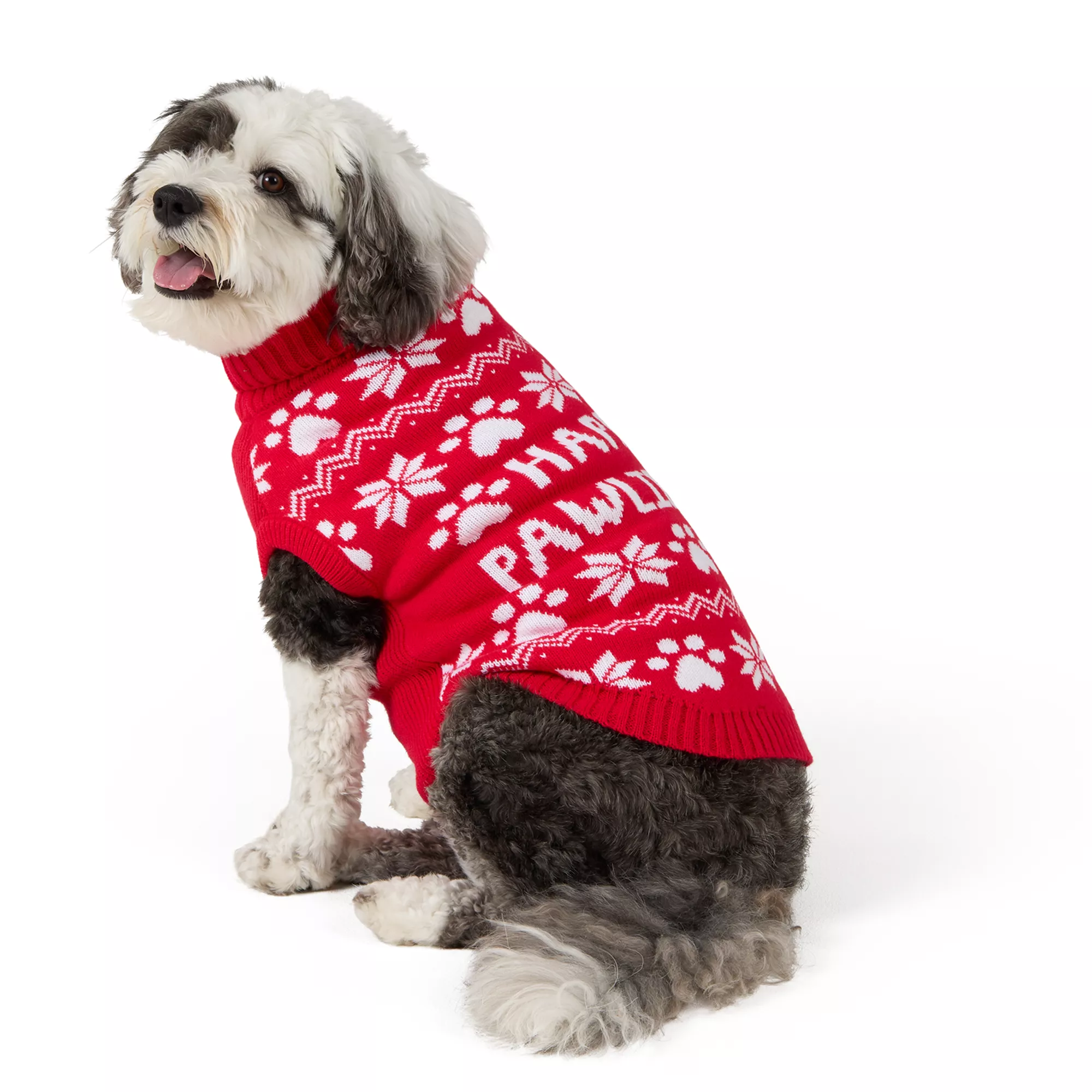 Merry & Bright® Happy Paw Holiday Sweater