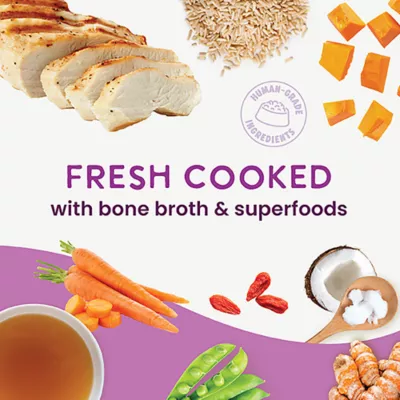 Health Extension Gently Cooked All Life Stages Wet Dog Food - Chicken & Pumpkin - Image 2