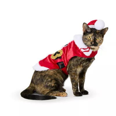 Product Merry & Bright® Santa Holiday Costume