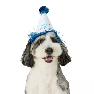 Product Top Paw® Birthday Hat