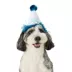 Top Paw® Birthday Hat image thumbnail 2