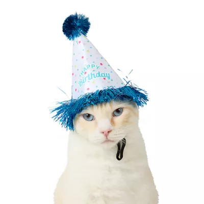 Product Top Paw® Birthday Hat