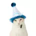 Top Paw® Birthday Hat image thumbnail 3